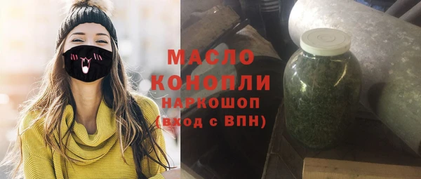 дмт Бородино