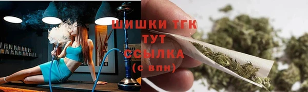дмт Бородино