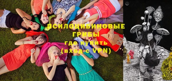 дмт Бородино