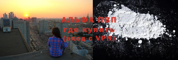 дмт Бородино