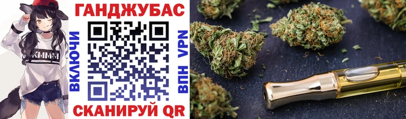 Конопля сатива  mega как войти  Ярославль 